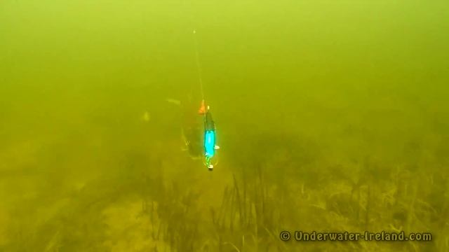 Pike attack baby Mike: testing new fishing lure. смотреть онлайн