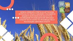 Предоставление субсидий на возмещение зерновых культур части затрат на производство и реализацию