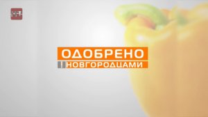 Одобрено новгородцами 04,03,15 