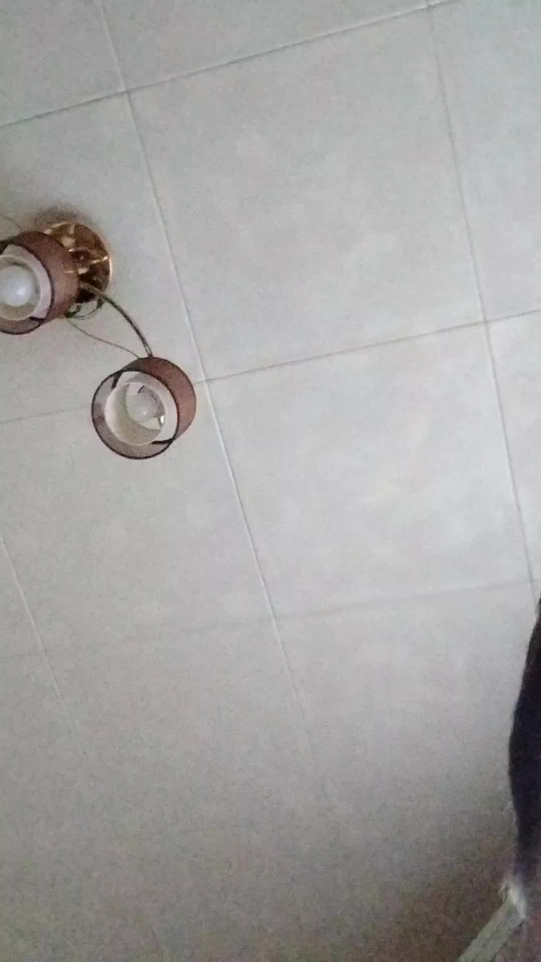 смех