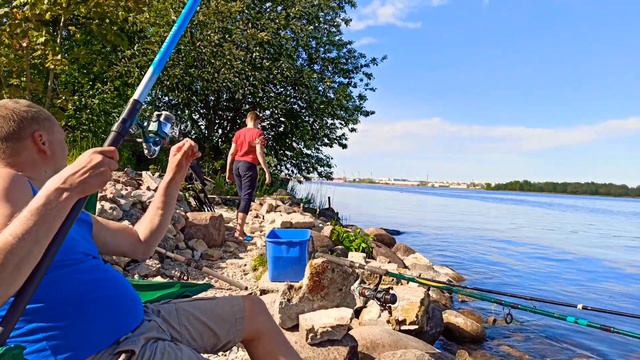 Рыбалка на Даугаве в июне / Веселая рыбалка с другом / Латвия 4к смотреть онлайн