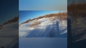 охота на зайца