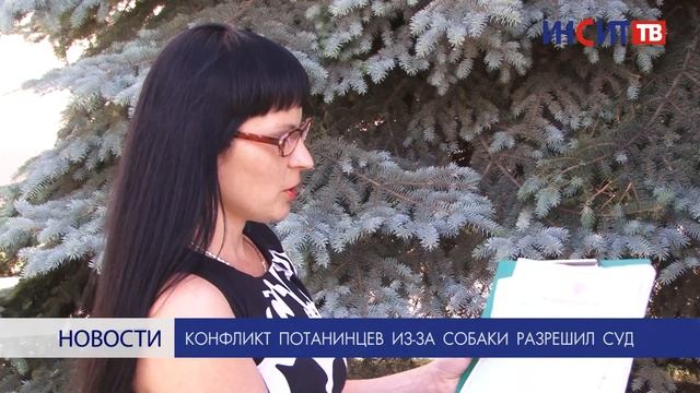 Конфликт копейчан из-за укуса собаки разрешил суд