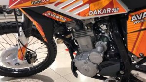 Мотоцикл AVANTIS DAKAR 250 (TWINCAM 170MM, FAST ACE) 21/18 (2020г.)