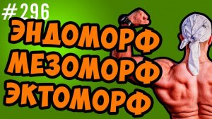 Типы телосложения. эктоморф, мезоморф , эндоморф