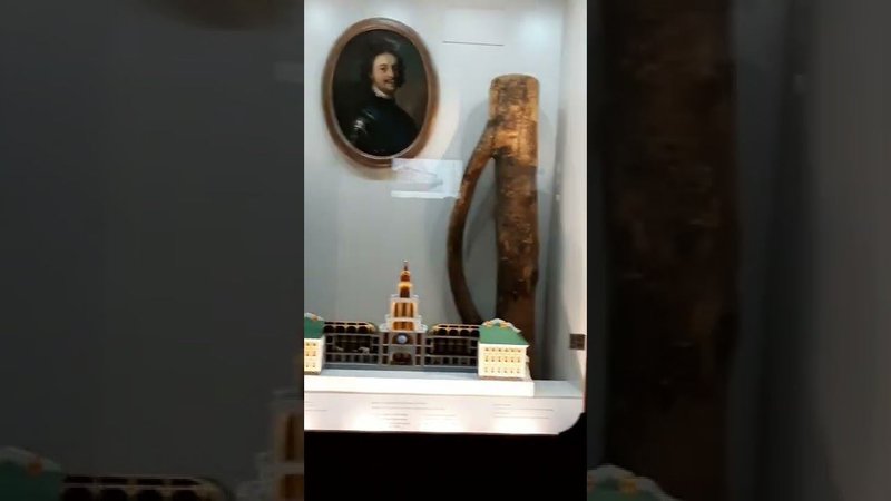 Кунсткамера3