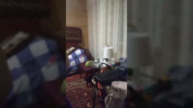 Лепка пельменей. смотреть онлайн