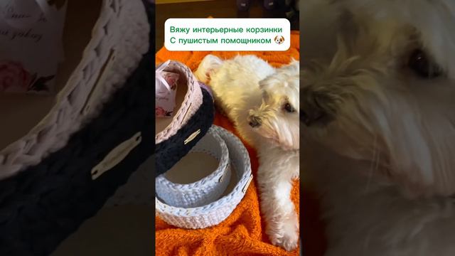 #бесплатныеурокивязания #вязание #вязаниедляначинающих #вязаниекрючком