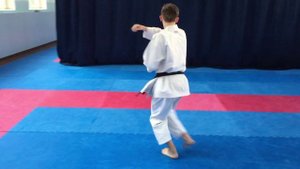 ТАЙКИОКУ ШОДАН