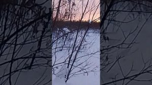 Буран на дыбы встаёт из-за широкой лыжи!
