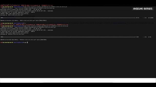 Instalando Cluster Apache Nifi (CFM) no Cloudera Manager смотреть онлайн