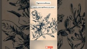 Головоломка с ответом, найдёте лица садовника и его жены?