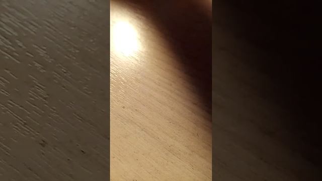 Обзор на мои ракушки! ?? смотреть онлайн