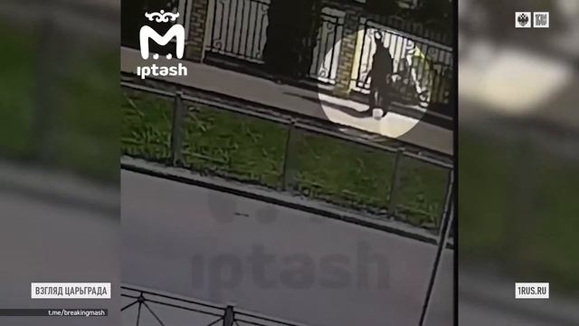 новости о стрелке из казани смотреть онлайн