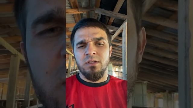 Начинающая ферма возможно закроется смотреть онлайн