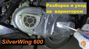 Вариатор SilverWing 600, разборка, уход.