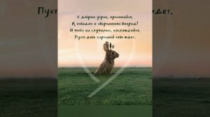 🐰 Попробуй посмотреть на жизнь под другим углом! Желаю тебе доброго утра!