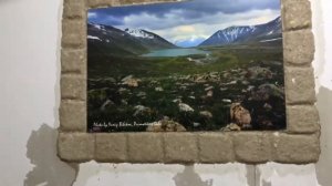 Стена под камень из яичных лотков.