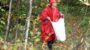 Как одеваться в лес