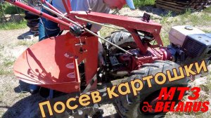 Мотоблок МТЗ. Посадка картофеля сеялкой, работа культиватором в поле. Режем картошку!