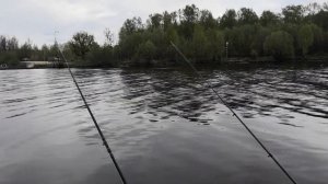 неПравильный фидер на канале имени Москвы. Рыбалка в мае на канале. Видеоотчёт №2