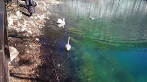 Чегемское ущелье и Голубое озеро. Chegem Gorge and Blue Lake
