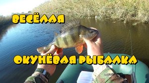 Веселая окуневая рыбалка.mp4