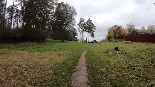 Тренировочный процесс, кросс с палками,лыжная имитация.