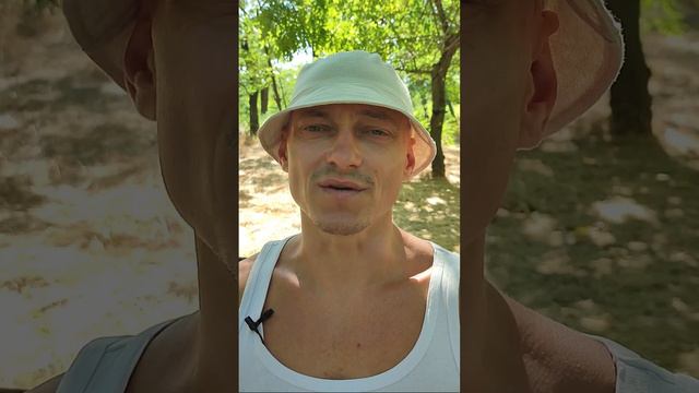 22.07.23 – это исторический день для нашей цивилизации!! смотреть онлайн