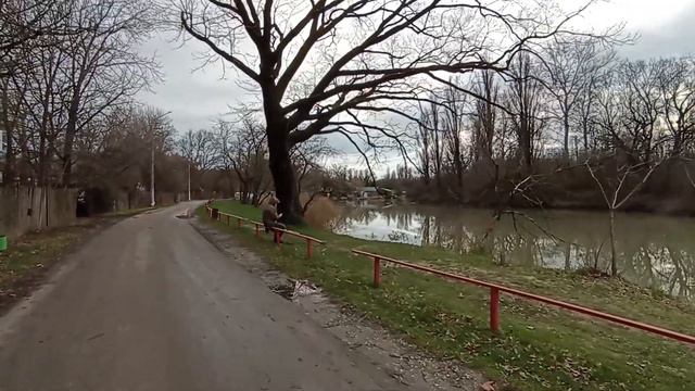 #краснодар #солнечный остров 3.01.24 смотреть онлайн