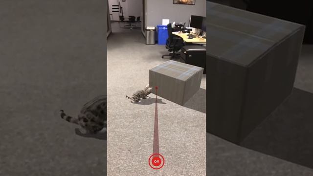 Laser Cat AR