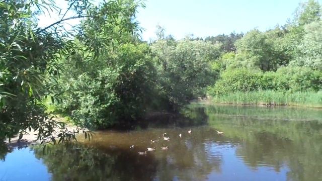 Какую красоту хотят загубить, а?! Вон отсюда, пресмыкающиеся! смотреть онлайн