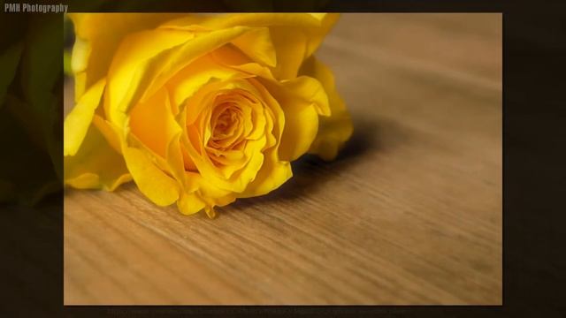 NIKKOR 18-55mm f/3.5-5.6G VR Vs D5600 Photos смотреть онлайн