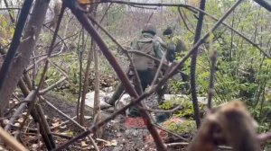 ⚡️Видео⚡️Как миномётчики 11-го полка крошат ВСУ под Авдеевкой⚡️