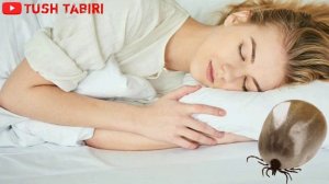 Тушда КАНА куриш туш таьбири || Tushda KANA ko'rish tush tabiri