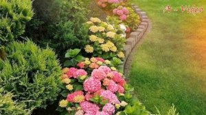 Оригинальные идеи для создания красивого сада / Original ideas for creating a beautiful garden