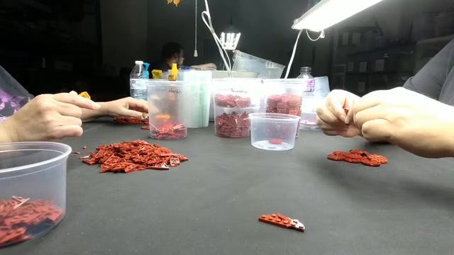 LEGO Brittle Bricks - QC (Dark Red) смотреть онлайн