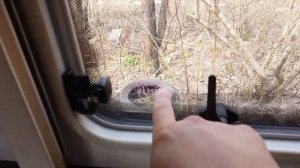 Выбор и покупка автодома, кемпера, каравана. Обзор Avondale Golden Osprey 2005 года. Дом на колесах