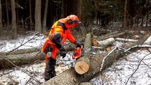 Husqvarna Technical Extreme protective clothing + Husky 560xp