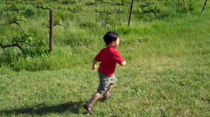 2010-04-25 bubble game in jacuzzi winery