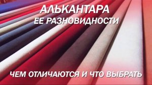 Алькантара - ее разновидности, чем отличаются и что лучше выбрать?