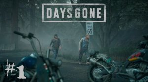 Days Gone (Жизнь После). Выстрел милосердия - Номады на горе. Прохождение #1