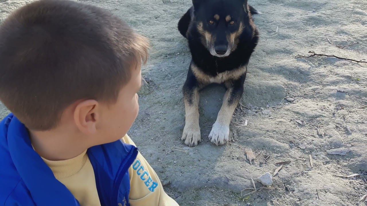 Ещё один выходной на природе