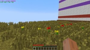 Minecraft Mods | Xray [1.8,1.7.10]