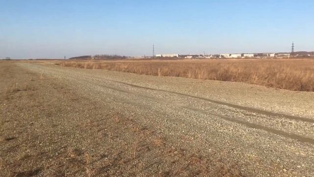 Река Сита Хабаровский край. Журавли!!! смотреть онлайн