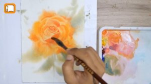 BEAUTIFUL ORANGE ROSE  WITHOUT DRAWING Watercolour tutorial Demonstration  Watercolor painting