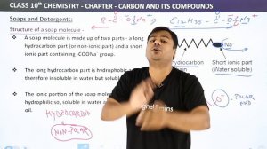 Class 10 Chemistry Chapter 4 | Carbon and its Compounds - Soaps and Detergents