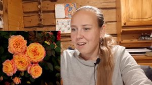 Заказ роз в питомнике Усынина. Розы из каталога на весну 2021 года.