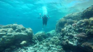 Египет 2020. Хургада. Дайвинг. VIP яхта