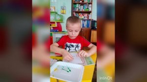 Аппликация Астра